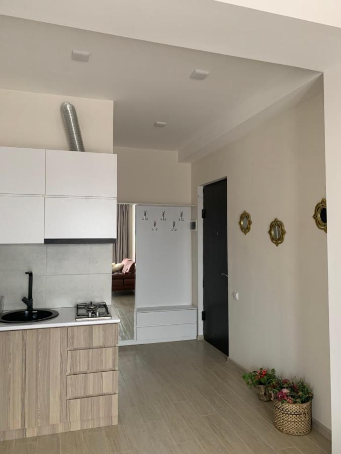 Valkhida'S Apartment Kutaisi Dış mekan fotoğraf